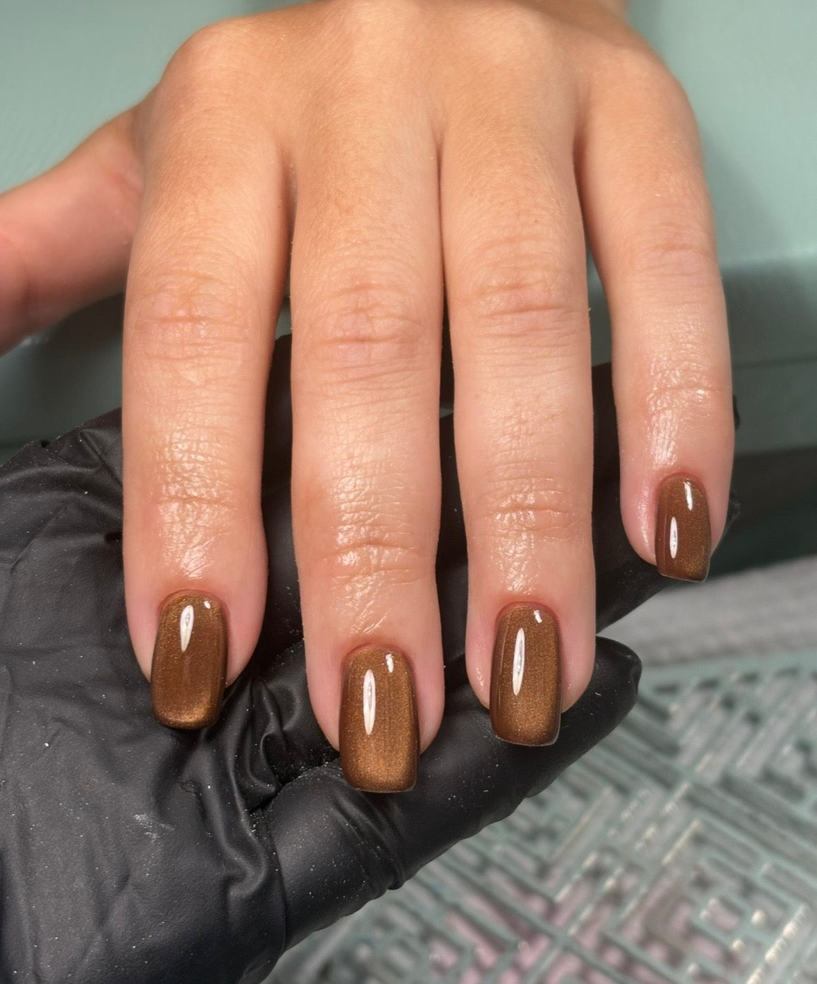 Cat Eye Camel No. 11