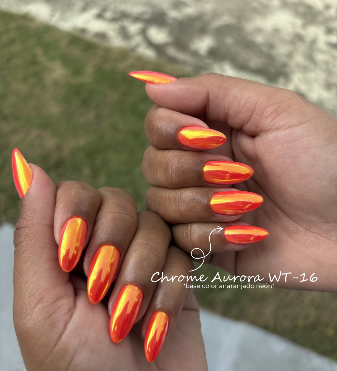 Chromes Aurora